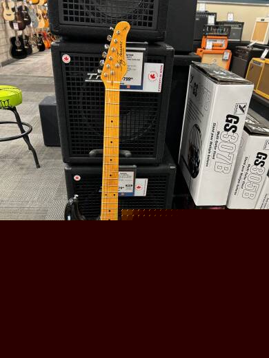 Jay Turser Strat Copy